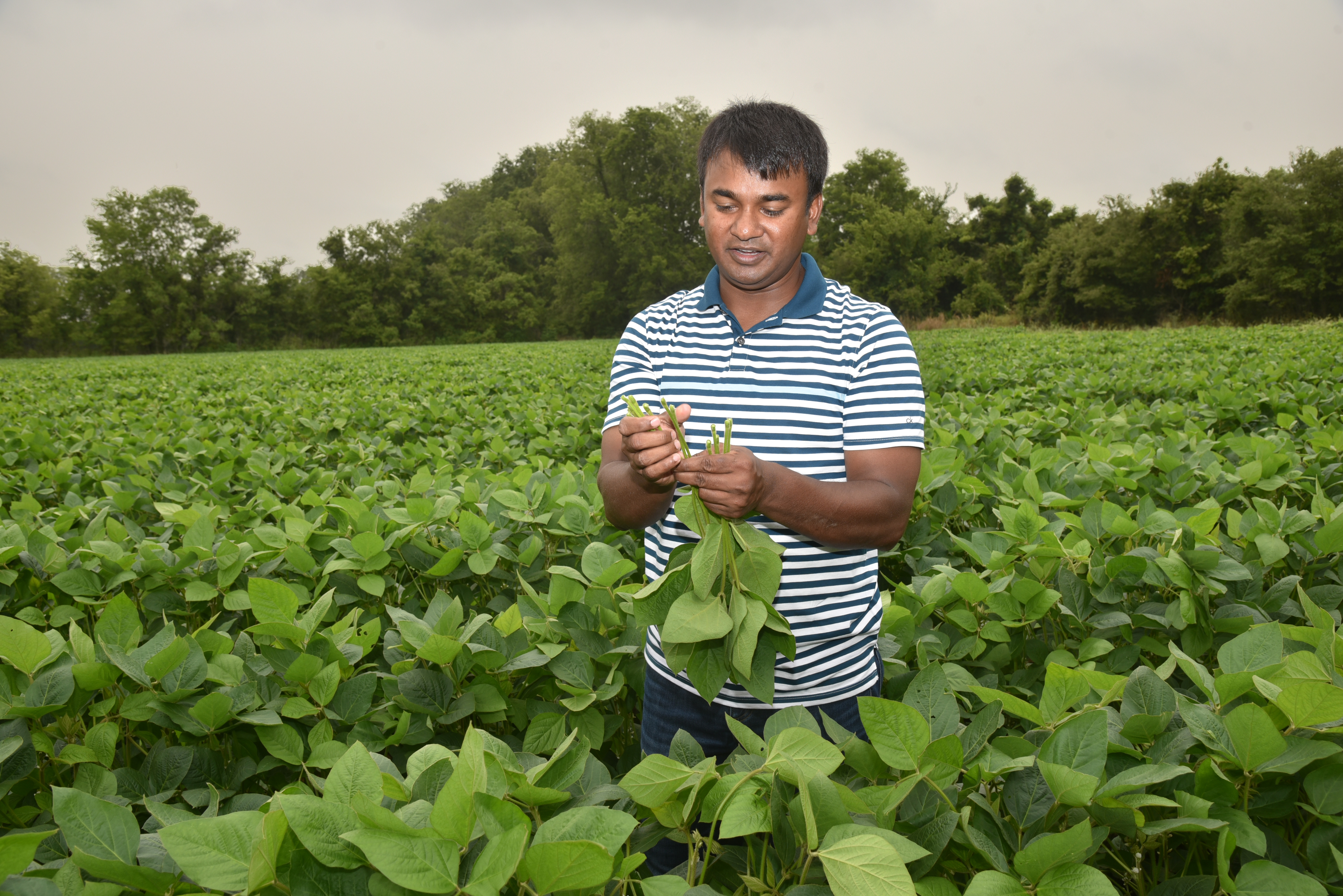 Soil fertility study underway 